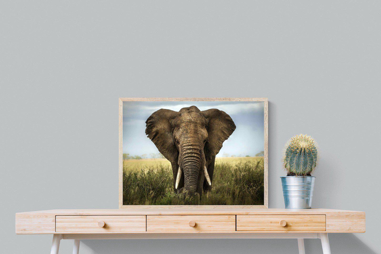 Bull Elephant-Wall_Art-80 x 60cm-Mounted Canvas-Wood-Pixalot