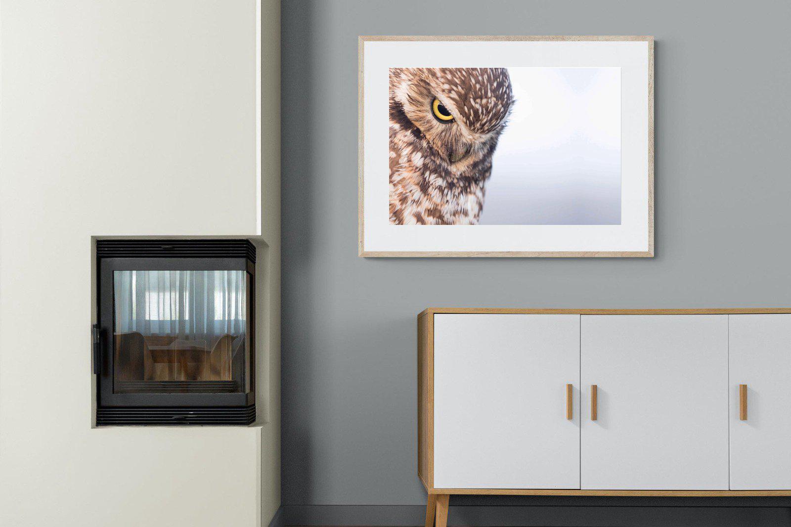 Burrowing Owl-Wall_Art-100 x 75cm-Framed Print-Wood-Pixalot