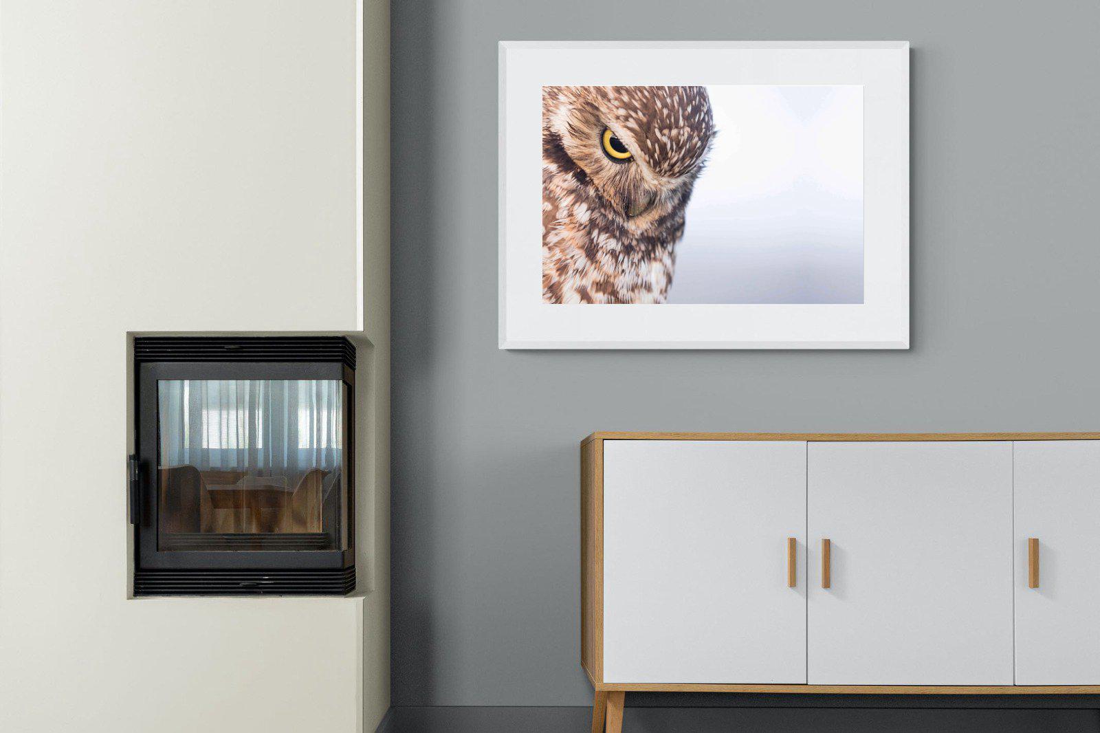 Burrowing Owl-Wall_Art-100 x 75cm-Framed Print-White-Pixalot