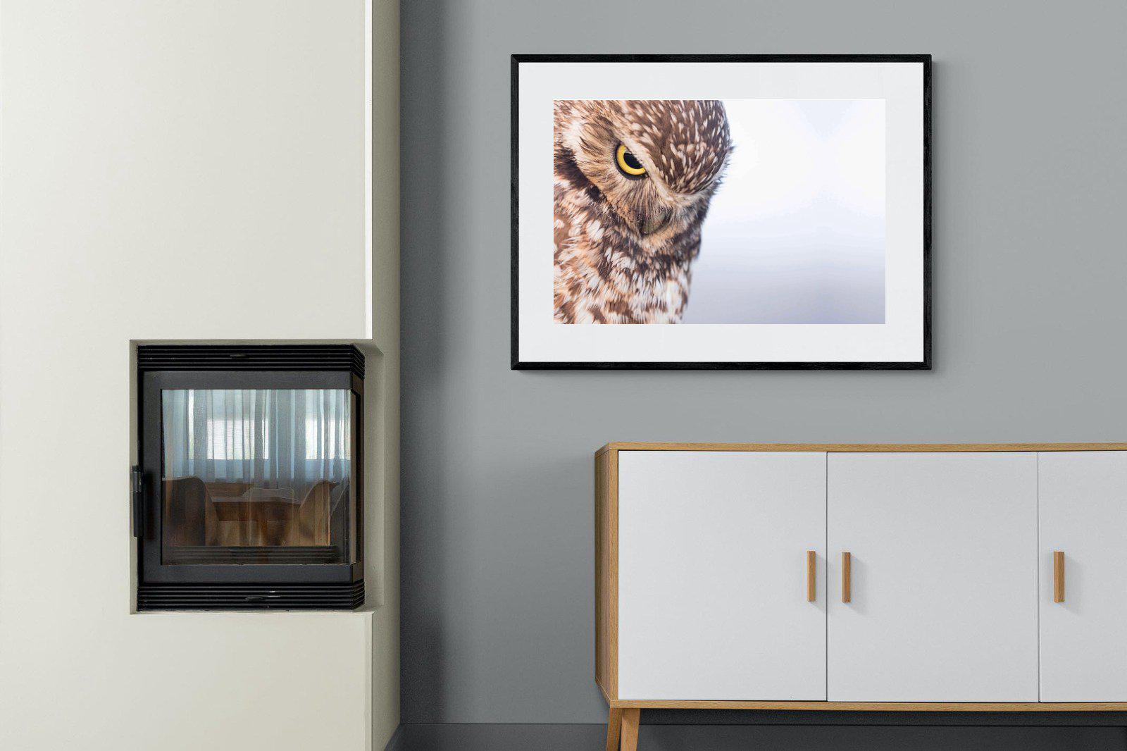 Burrowing Owl-Wall_Art-100 x 75cm-Framed Print-Black-Pixalot