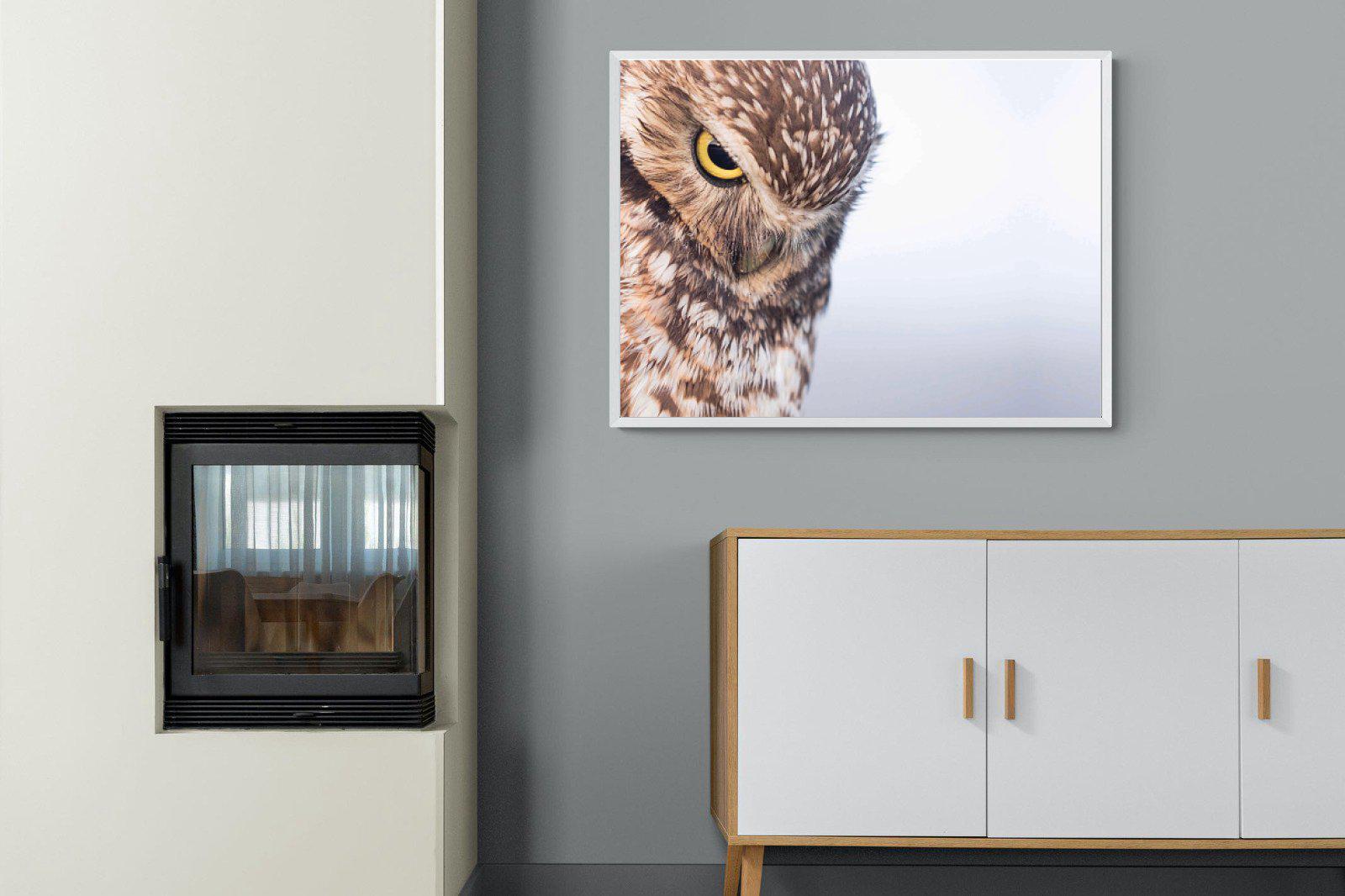 Burrowing Owl-Wall_Art-100 x 75cm-Mounted Canvas-White-Pixalot