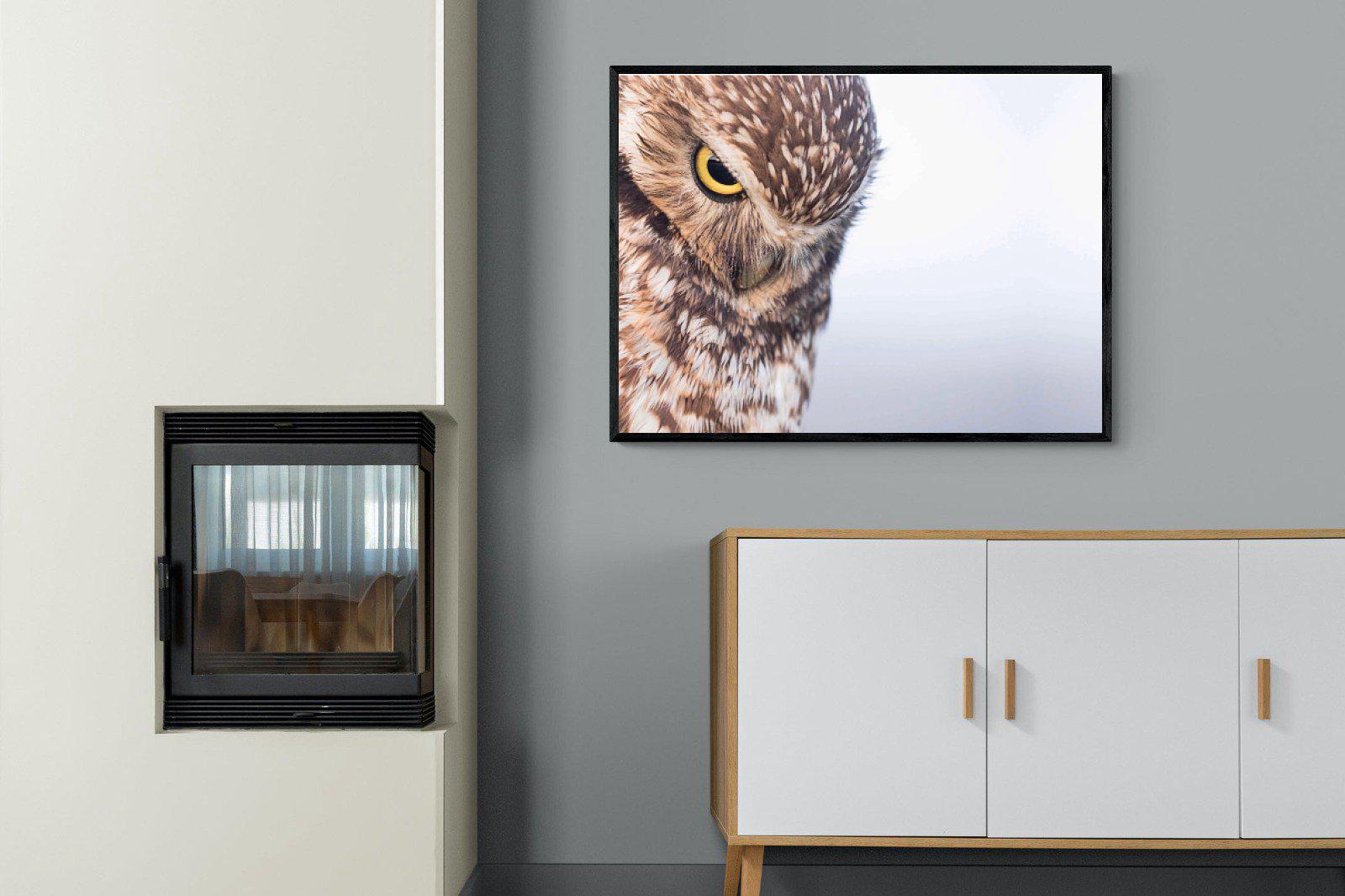 Burrowing Owl-Wall_Art-100 x 75cm-Mounted Canvas-Black-Pixalot