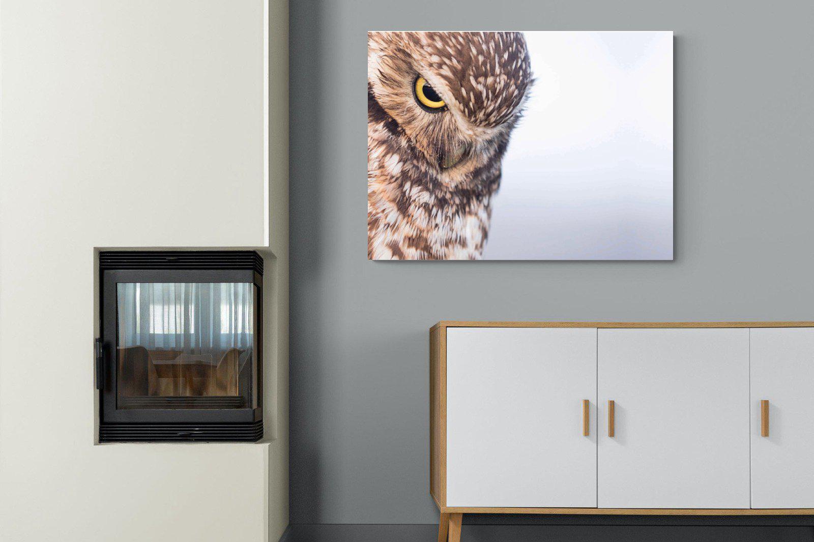 Burrowing Owl-Wall_Art-100 x 75cm-Mounted Canvas-No Frame-Pixalot