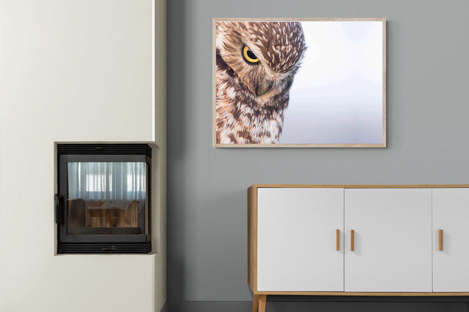 Burrowing Owl-Wall_Art-100 x 75cm-Mounted Canvas-Wood-Pixalot