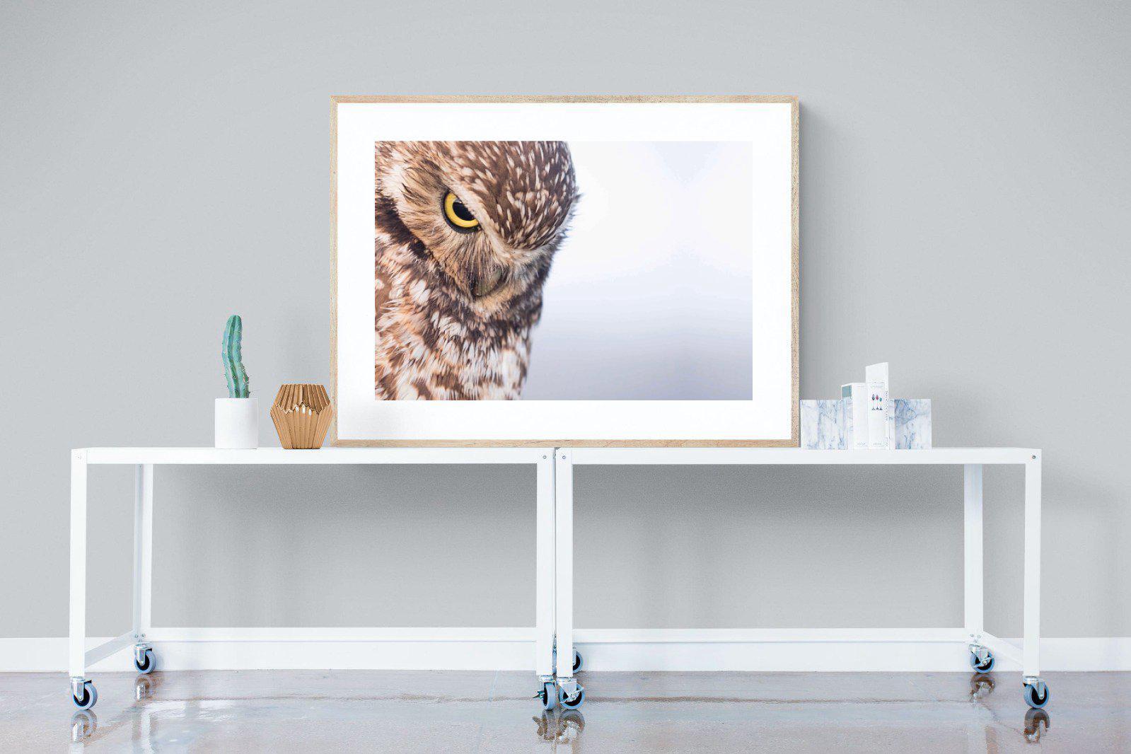 Burrowing Owl-Wall_Art-120 x 90cm-Framed Print-Wood-Pixalot
