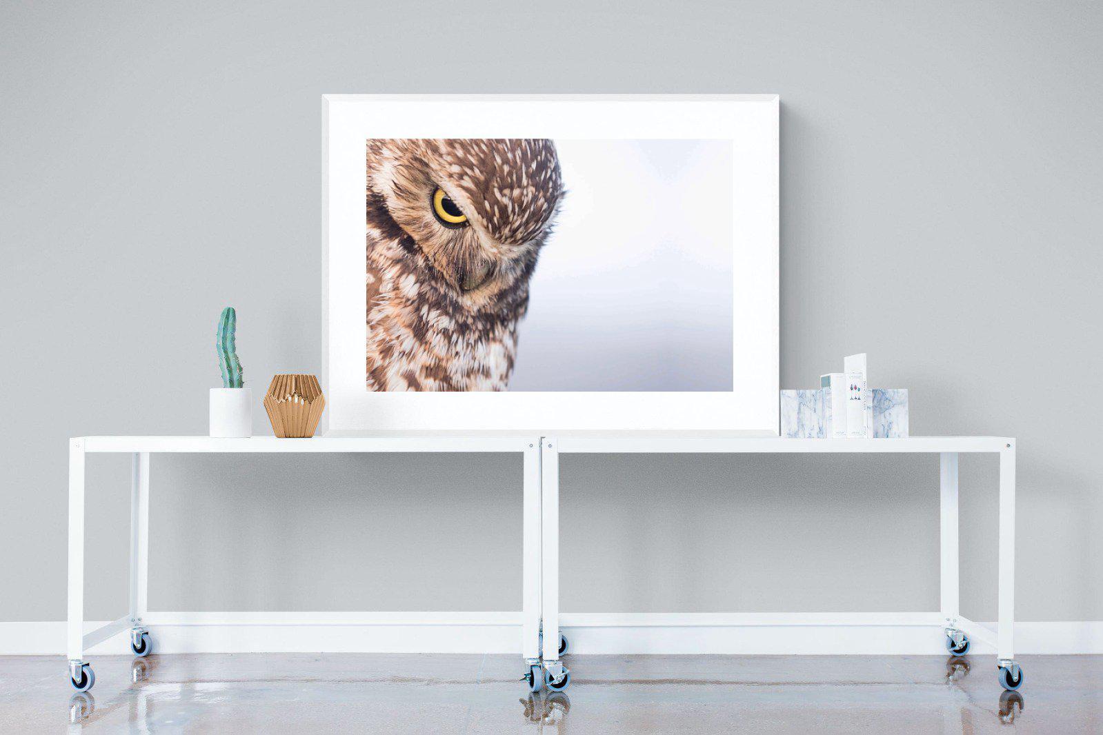 Burrowing Owl-Wall_Art-120 x 90cm-Framed Print-White-Pixalot