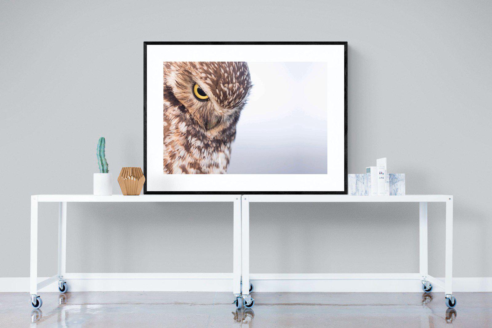 Burrowing Owl-Wall_Art-120 x 90cm-Framed Print-Black-Pixalot
