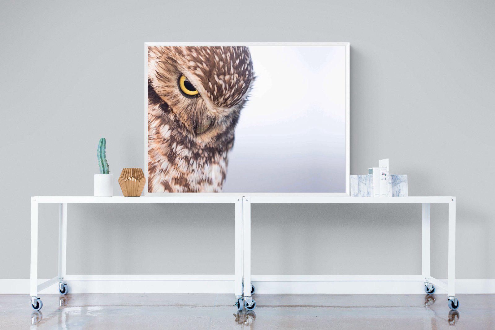 Burrowing Owl-Wall_Art-120 x 90cm-Mounted Canvas-White-Pixalot