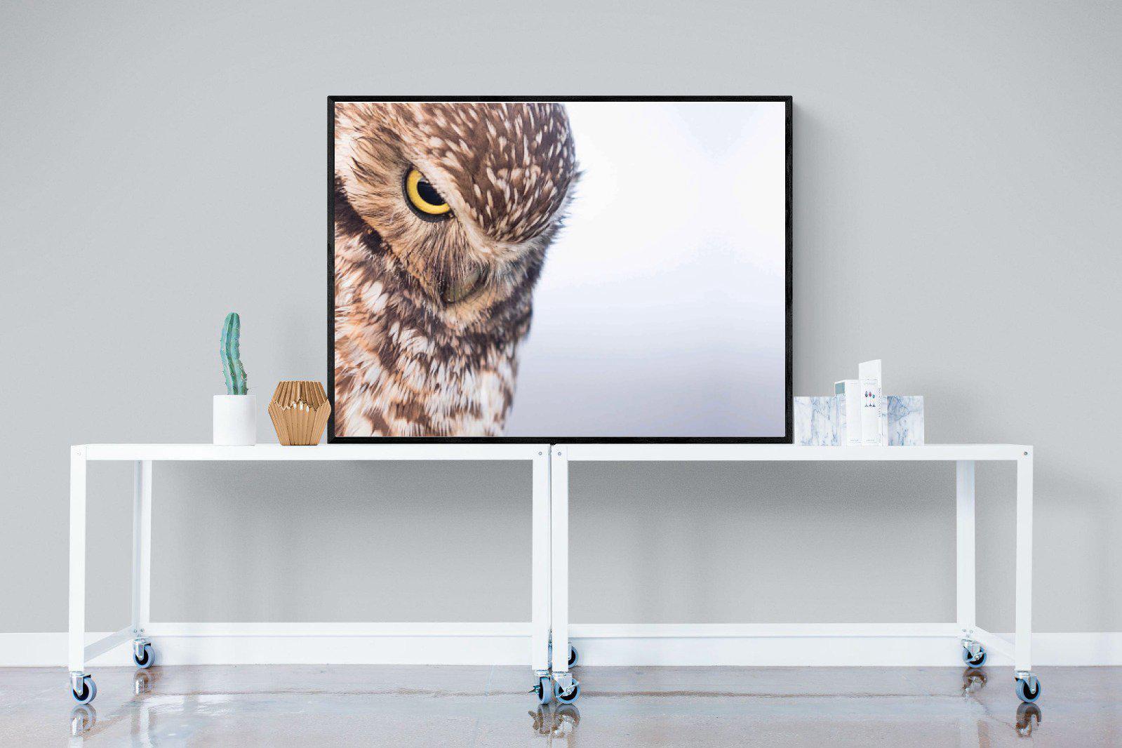 Burrowing Owl-Wall_Art-120 x 90cm-Mounted Canvas-Black-Pixalot