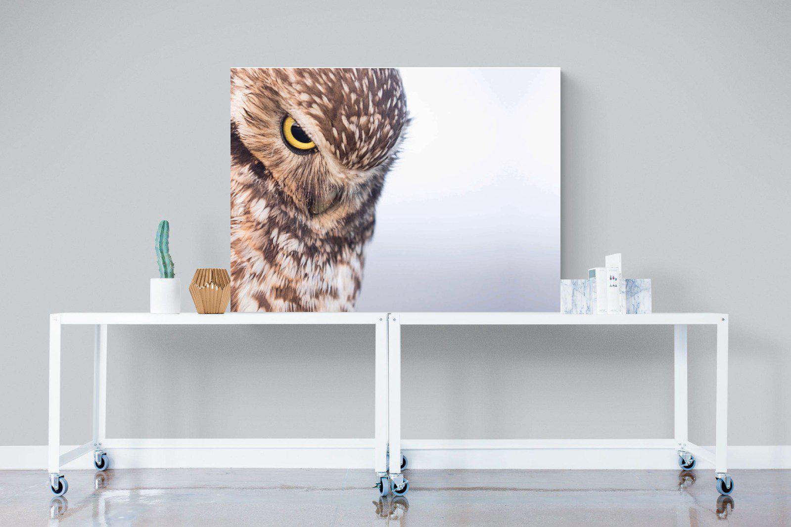 Burrowing Owl-Wall_Art-120 x 90cm-Mounted Canvas-No Frame-Pixalot