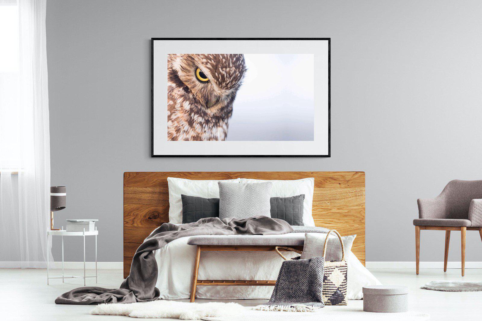 Burrowing Owl-Wall_Art-150 x 100cm-Framed Print-Black-Pixalot