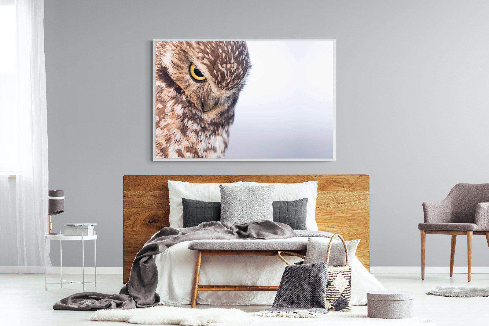 Burrowing Owl-Wall_Art-150 x 100cm-Mounted Canvas-White-Pixalot