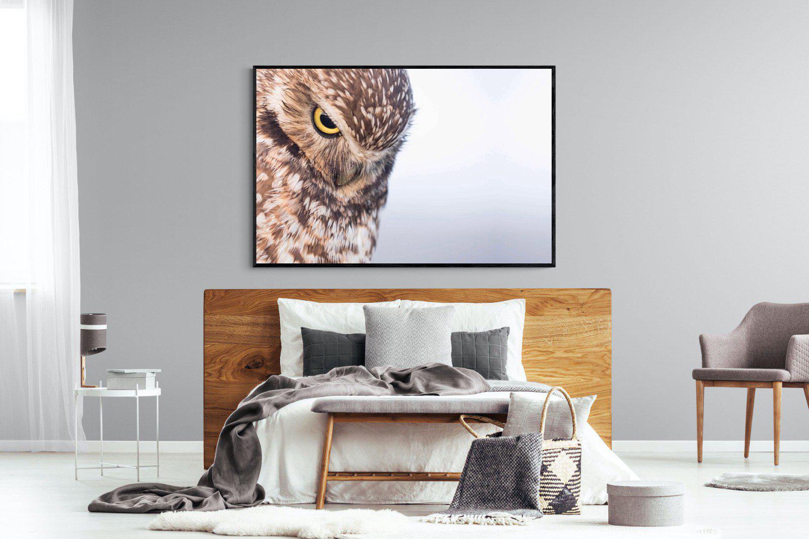 Burrowing Owl-Wall_Art-150 x 100cm-Mounted Canvas-Black-Pixalot