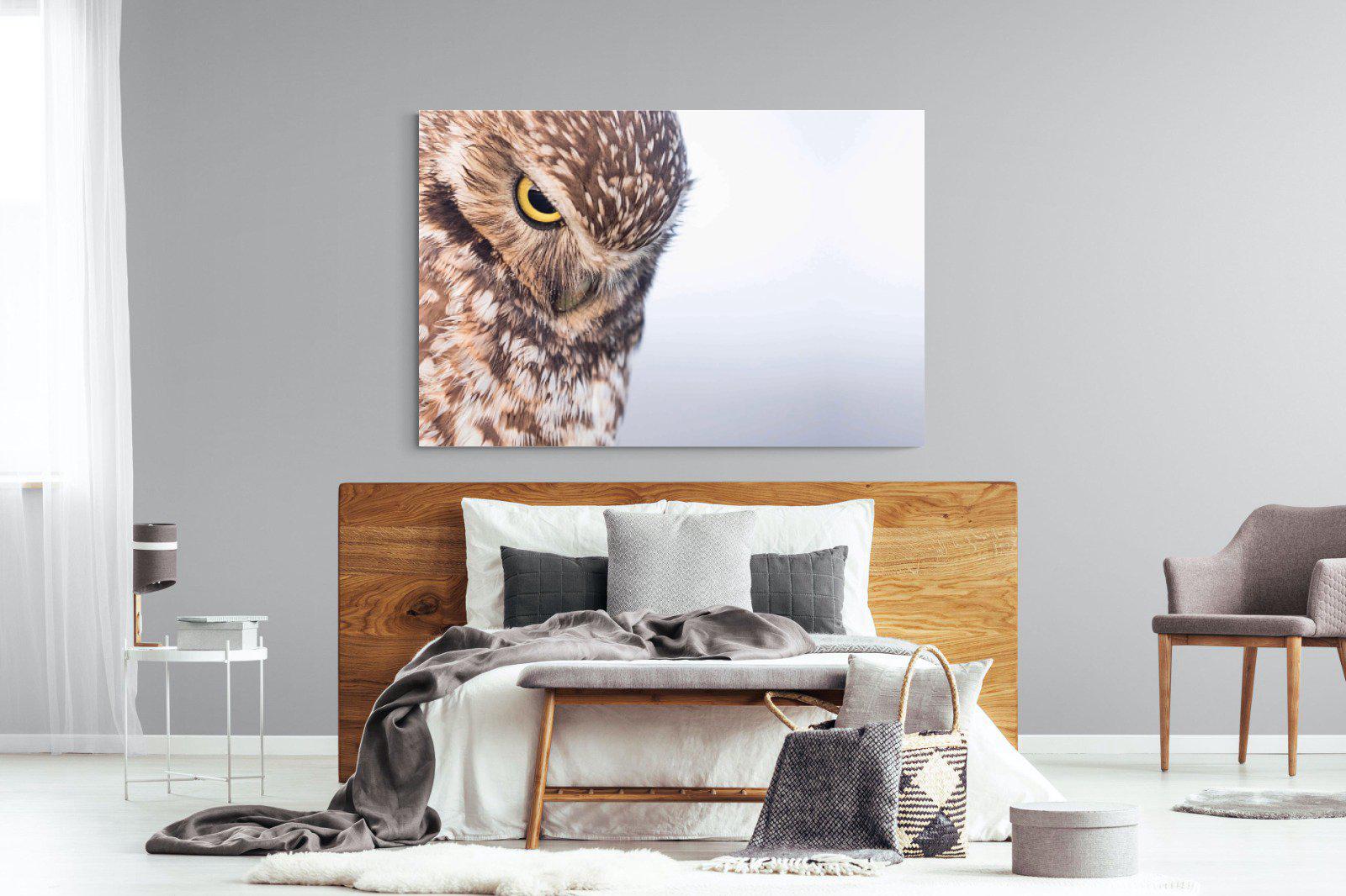 Burrowing Owl-Wall_Art-150 x 100cm-Mounted Canvas-No Frame-Pixalot