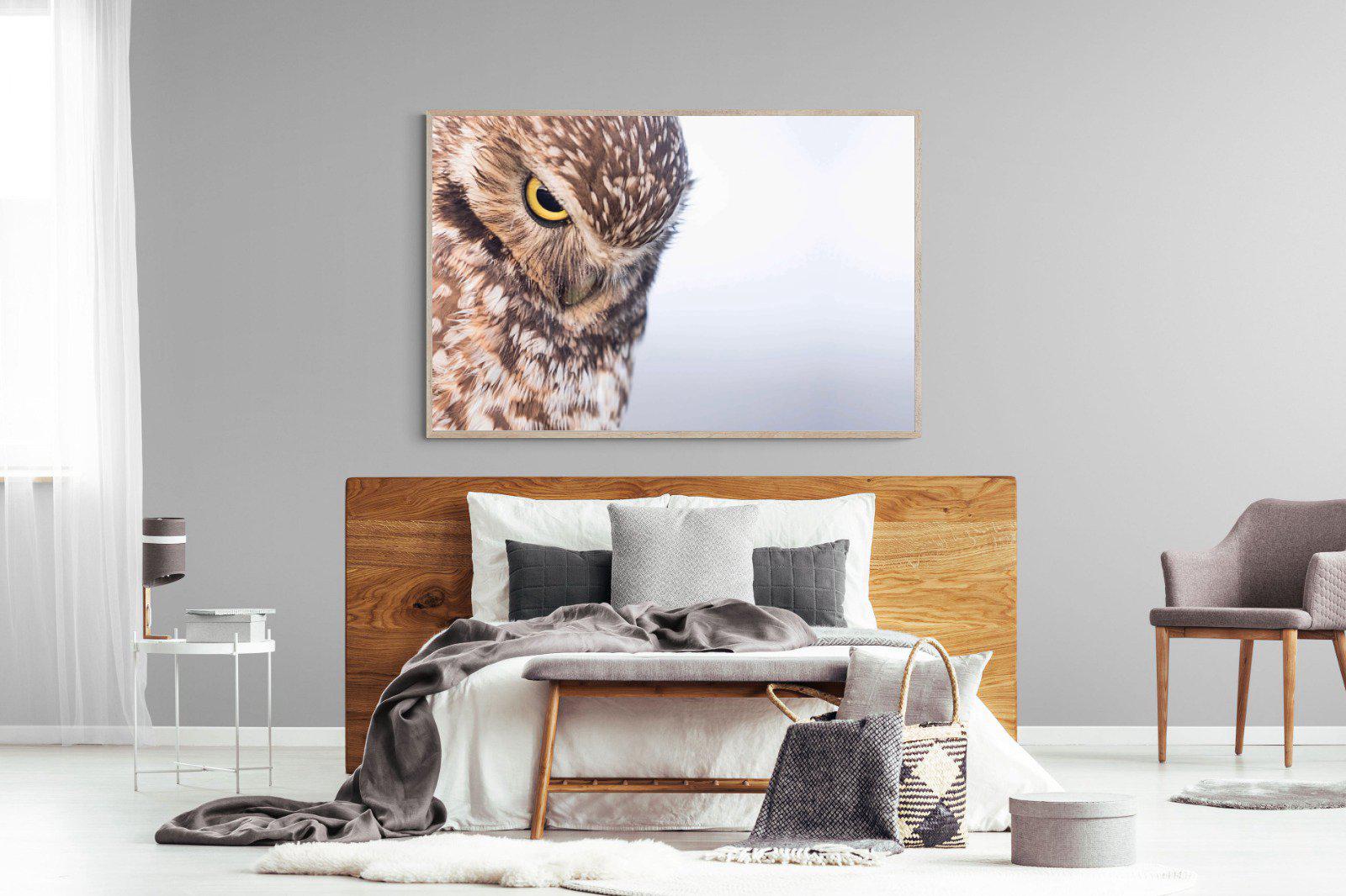 Burrowing Owl-Wall_Art-150 x 100cm-Mounted Canvas-Wood-Pixalot
