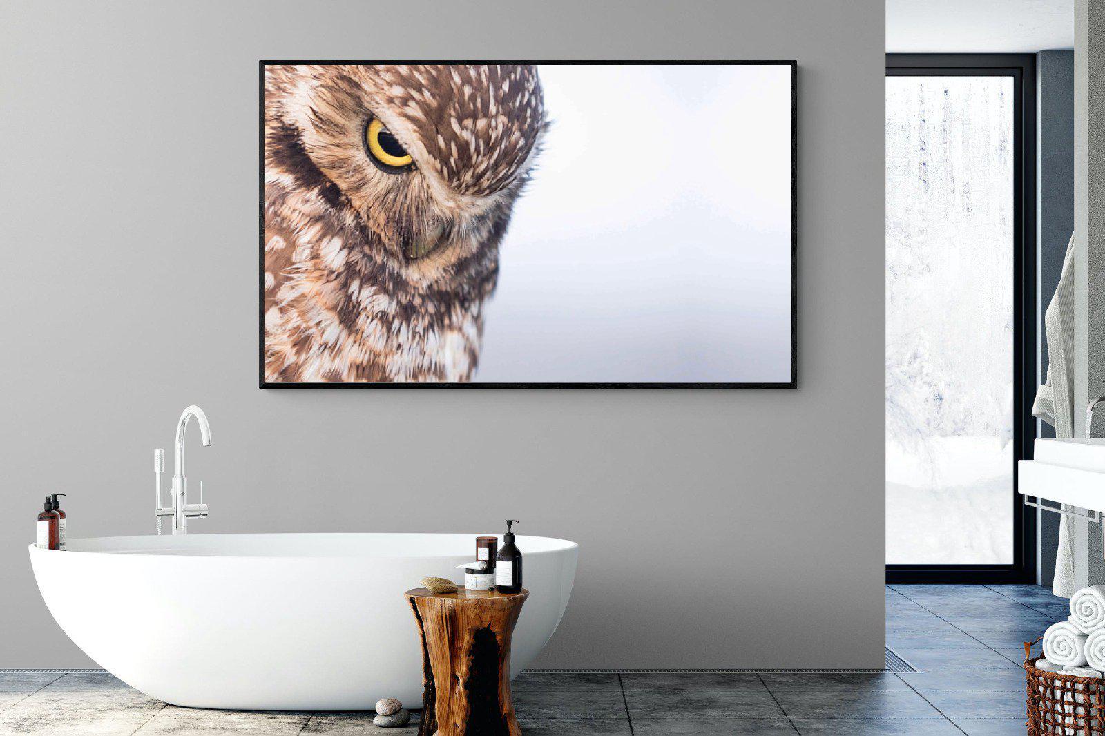 Burrowing Owl-Wall_Art-180 x 110cm-Mounted Canvas-Black-Pixalot