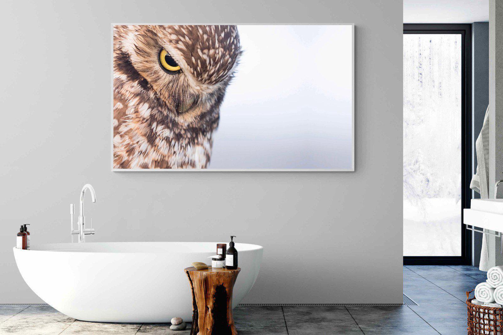 Burrowing Owl-Wall_Art-180 x 110cm-Mounted Canvas-White-Pixalot