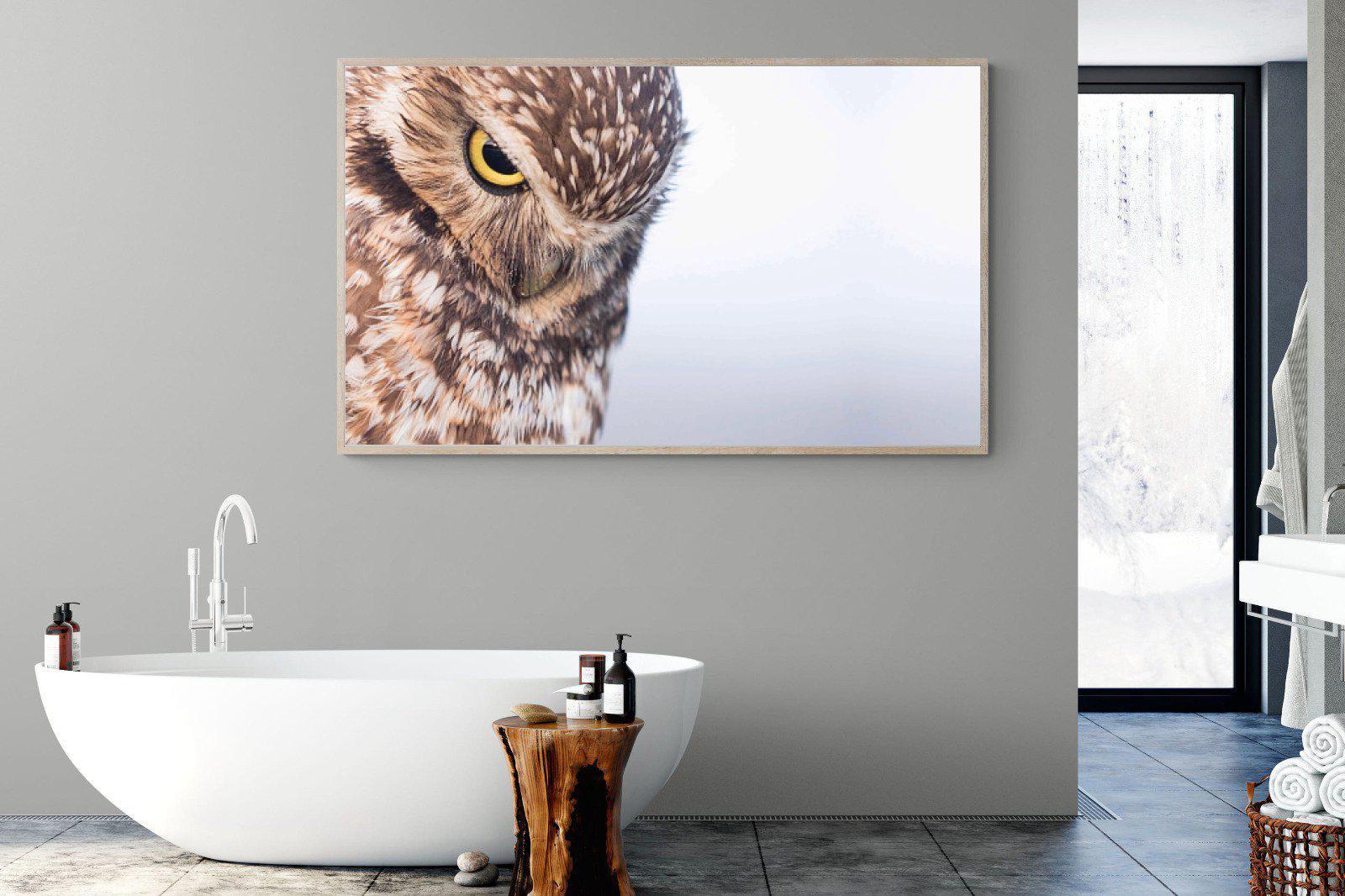 Burrowing Owl-Wall_Art-180 x 110cm-Mounted Canvas-Wood-Pixalot