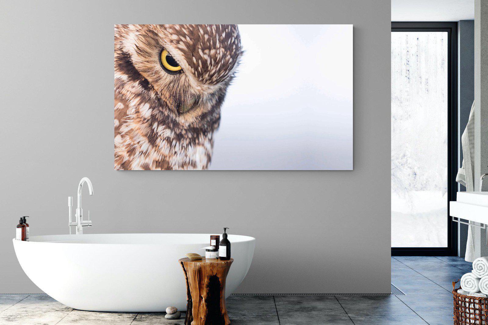Burrowing Owl-Wall_Art-180 x 110cm-Mounted Canvas-No Frame-Pixalot