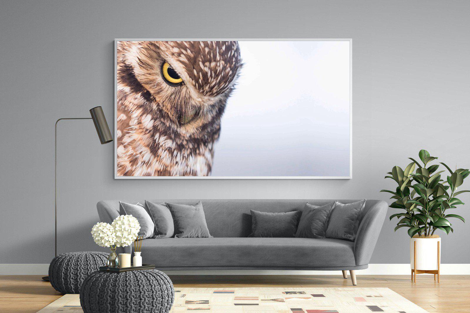 Burrowing Owl-Wall_Art-220 x 130cm-Mounted Canvas-White-Pixalot