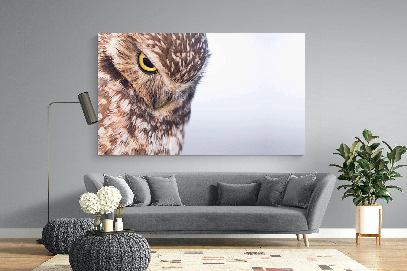 Burrowing Owl-Wall_Art-220 x 130cm-Mounted Canvas-No Frame-Pixalot