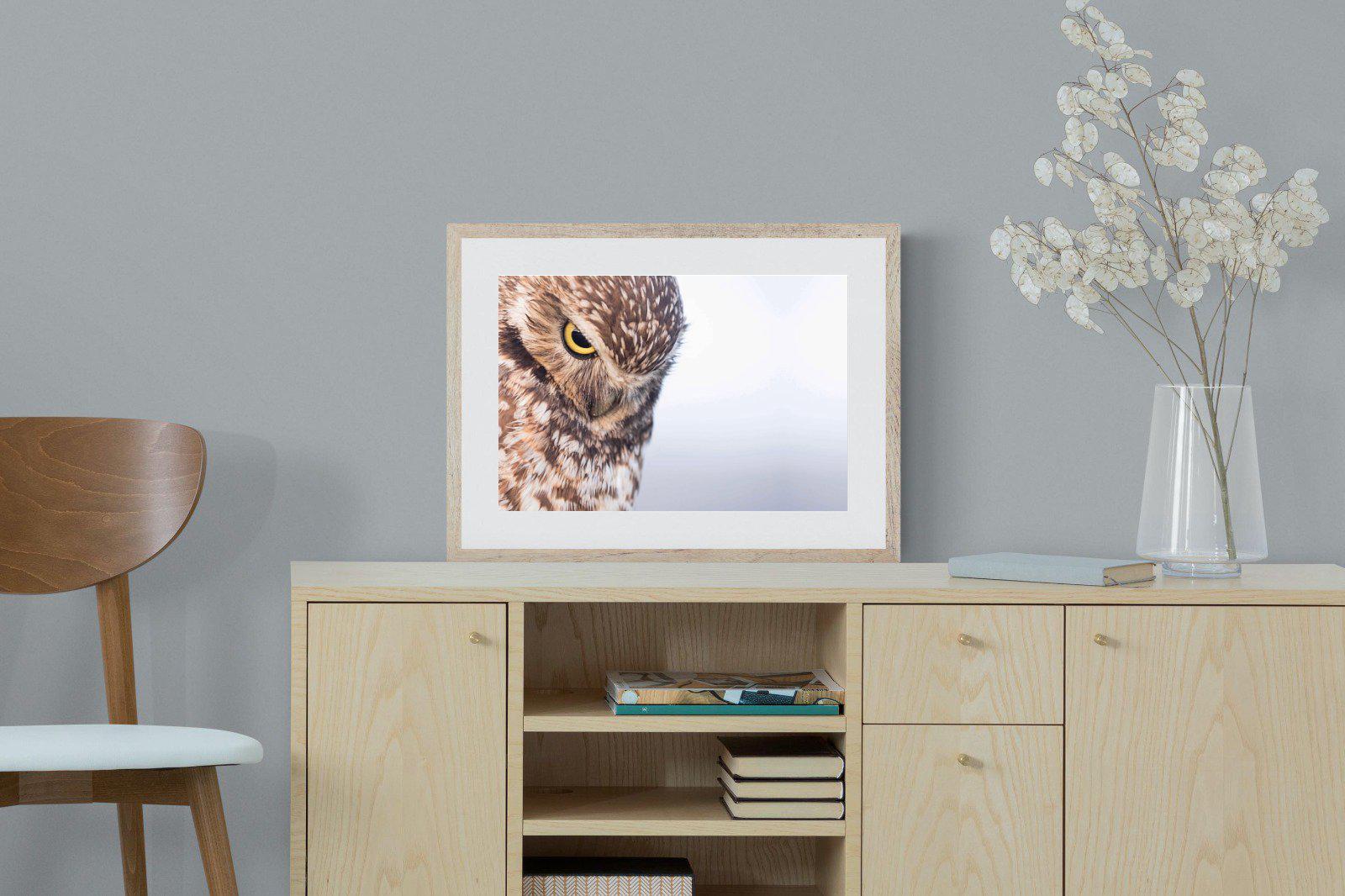 Burrowing Owl-Wall_Art-60 x 45cm-Framed Print-Wood-Pixalot