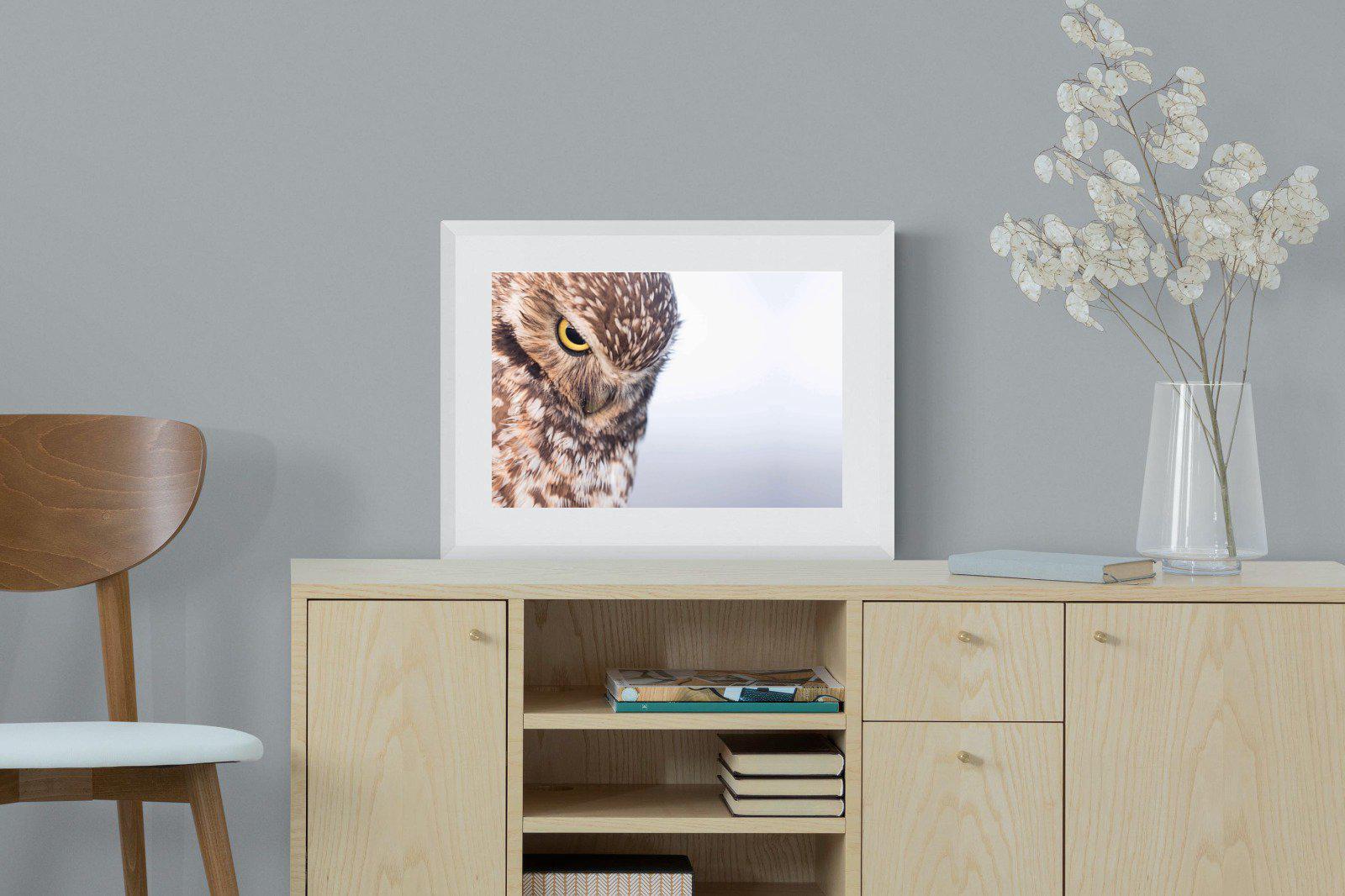 Burrowing Owl-Wall_Art-60 x 45cm-Framed Print-White-Pixalot