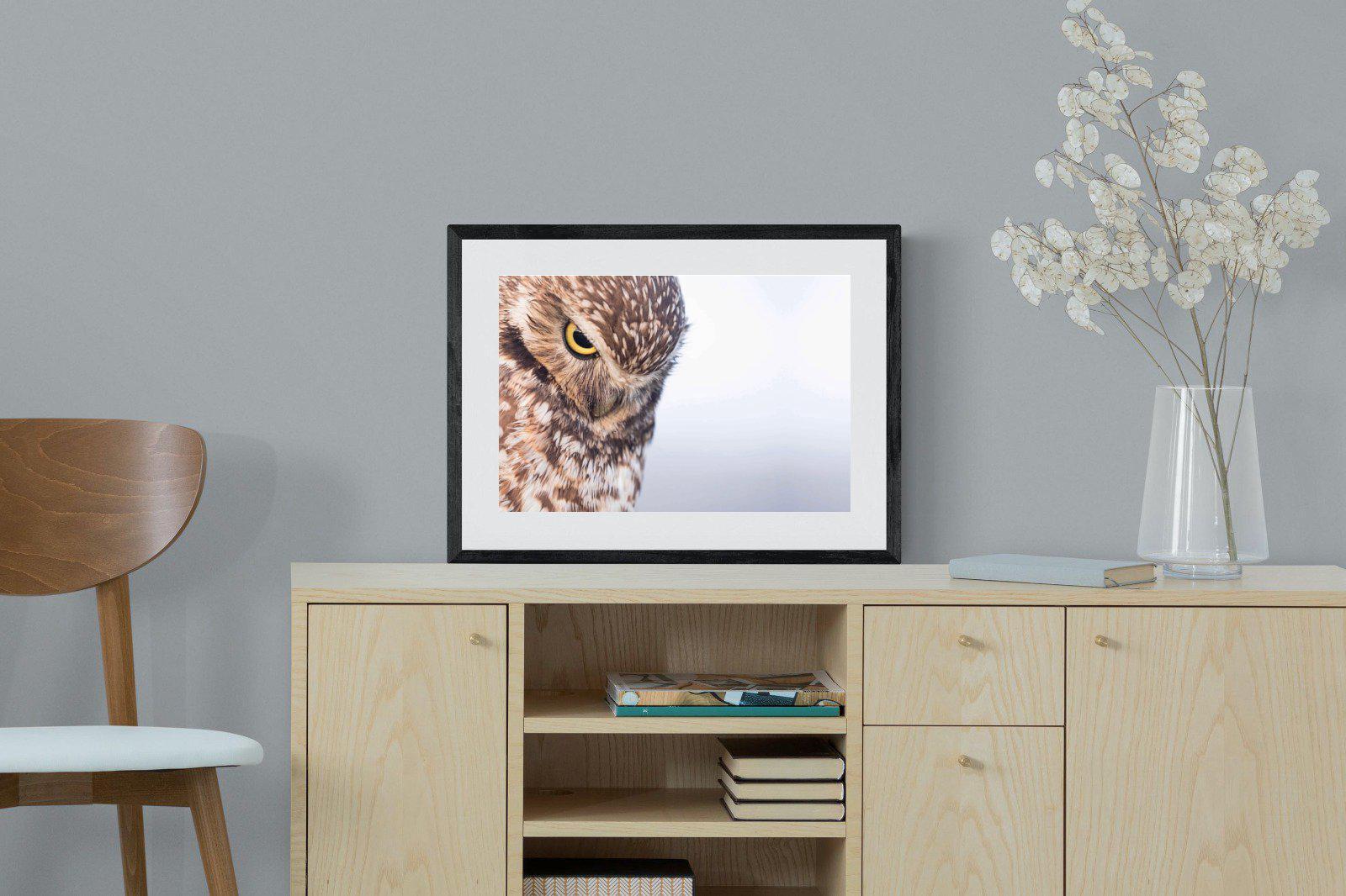 Burrowing Owl-Wall_Art-60 x 45cm-Framed Print-Black-Pixalot