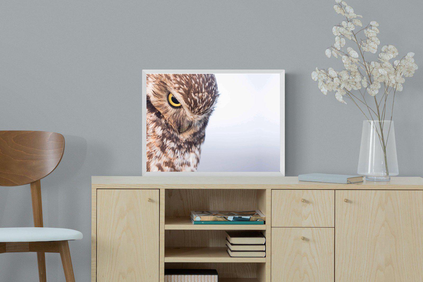 Burrowing Owl-Wall_Art-60 x 45cm-Mounted Canvas-White-Pixalot