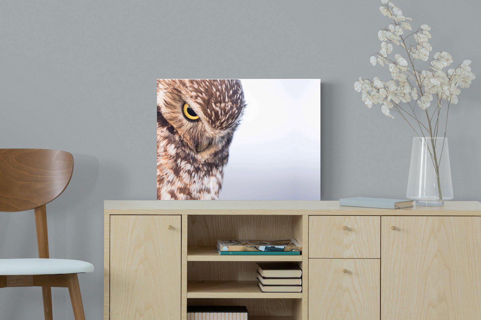 Burrowing Owl-Wall_Art-60 x 45cm-Mounted Canvas-No Frame-Pixalot