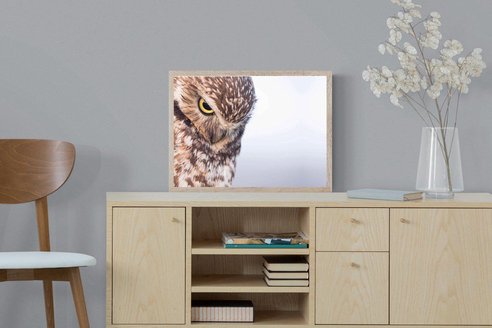 Burrowing Owl-Wall_Art-60 x 45cm-Mounted Canvas-Wood-Pixalot
