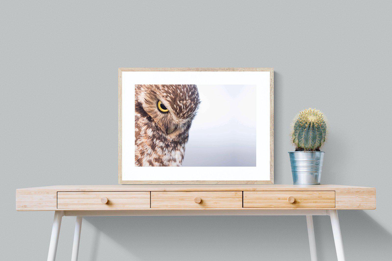 Burrowing Owl-Wall_Art-80 x 60cm-Framed Print-Wood-Pixalot