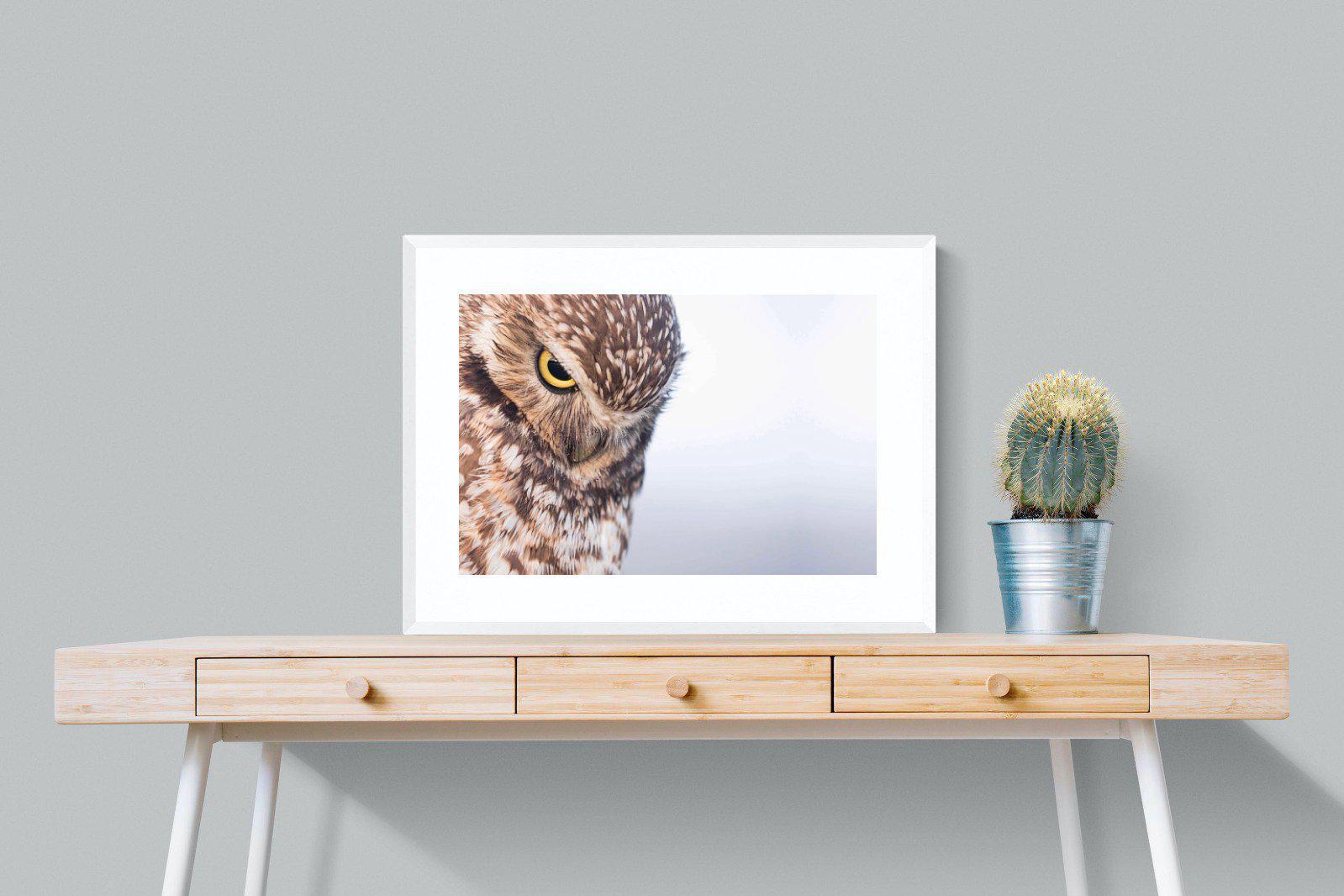 Burrowing Owl-Wall_Art-80 x 60cm-Framed Print-White-Pixalot