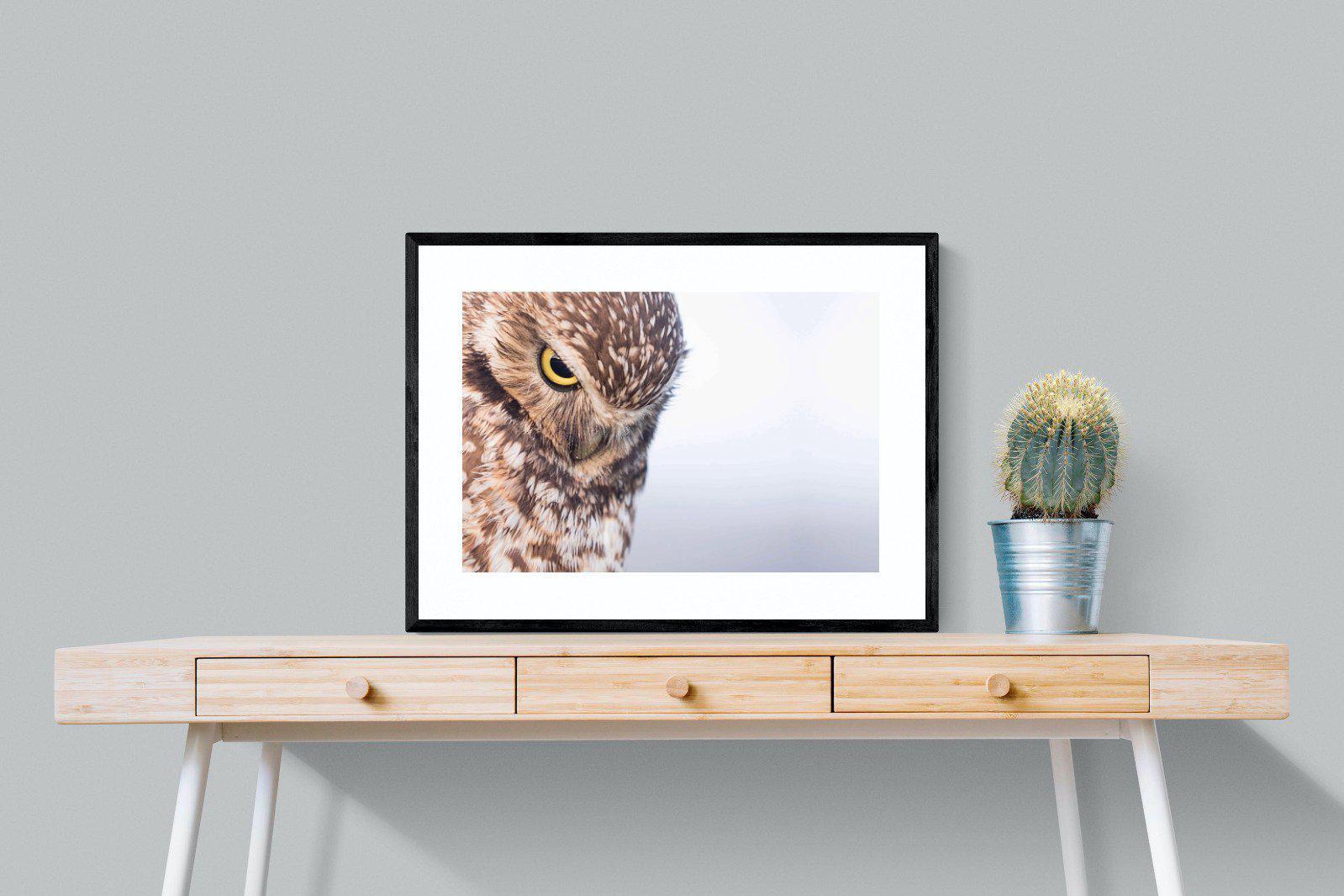 Burrowing Owl-Wall_Art-80 x 60cm-Framed Print-Black-Pixalot