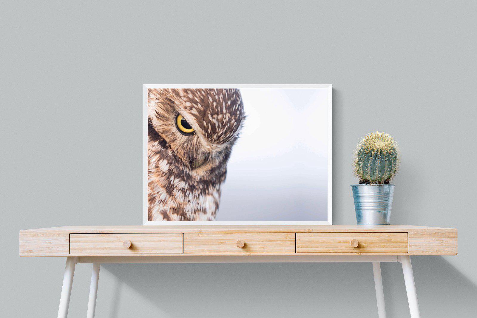 Burrowing Owl-Wall_Art-80 x 60cm-Mounted Canvas-White-Pixalot