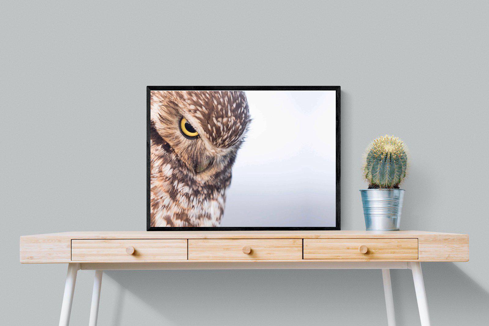 Burrowing Owl-Wall_Art-80 x 60cm-Mounted Canvas-Black-Pixalot