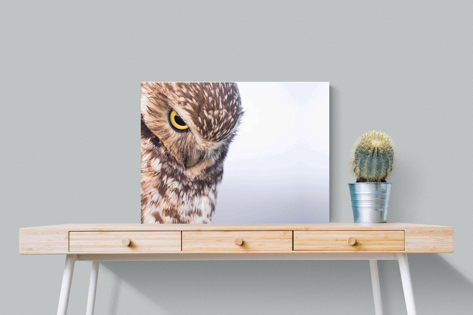 Burrowing Owl-Wall_Art-80 x 60cm-Mounted Canvas-No Frame-Pixalot