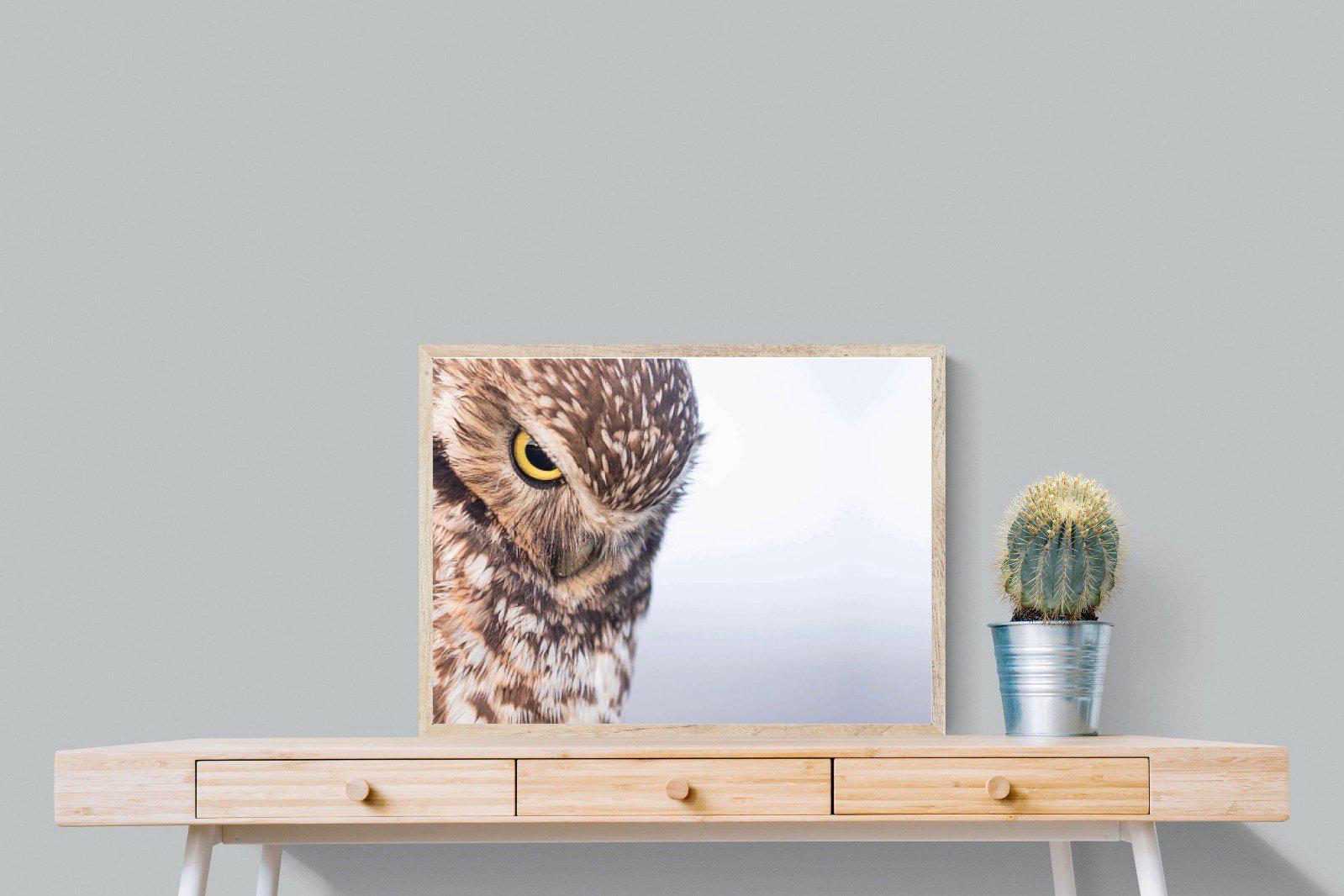 Burrowing Owl-Wall_Art-80 x 60cm-Mounted Canvas-Wood-Pixalot