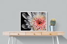 Burst-Wall_Art-80 x 60cm-Mounted Canvas-White-Pixalot