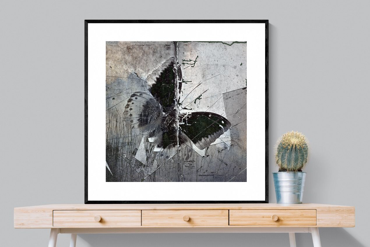 Butterfly Art-Wall_Art-100 x 100cm-Framed Print-Black-Pixalot