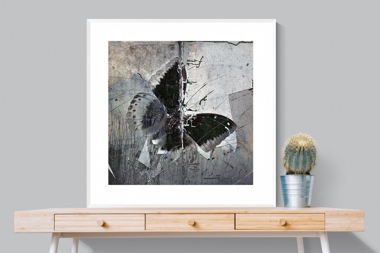 Butterfly Art-Wall_Art-100 x 100cm-Framed Print-White-Pixalot