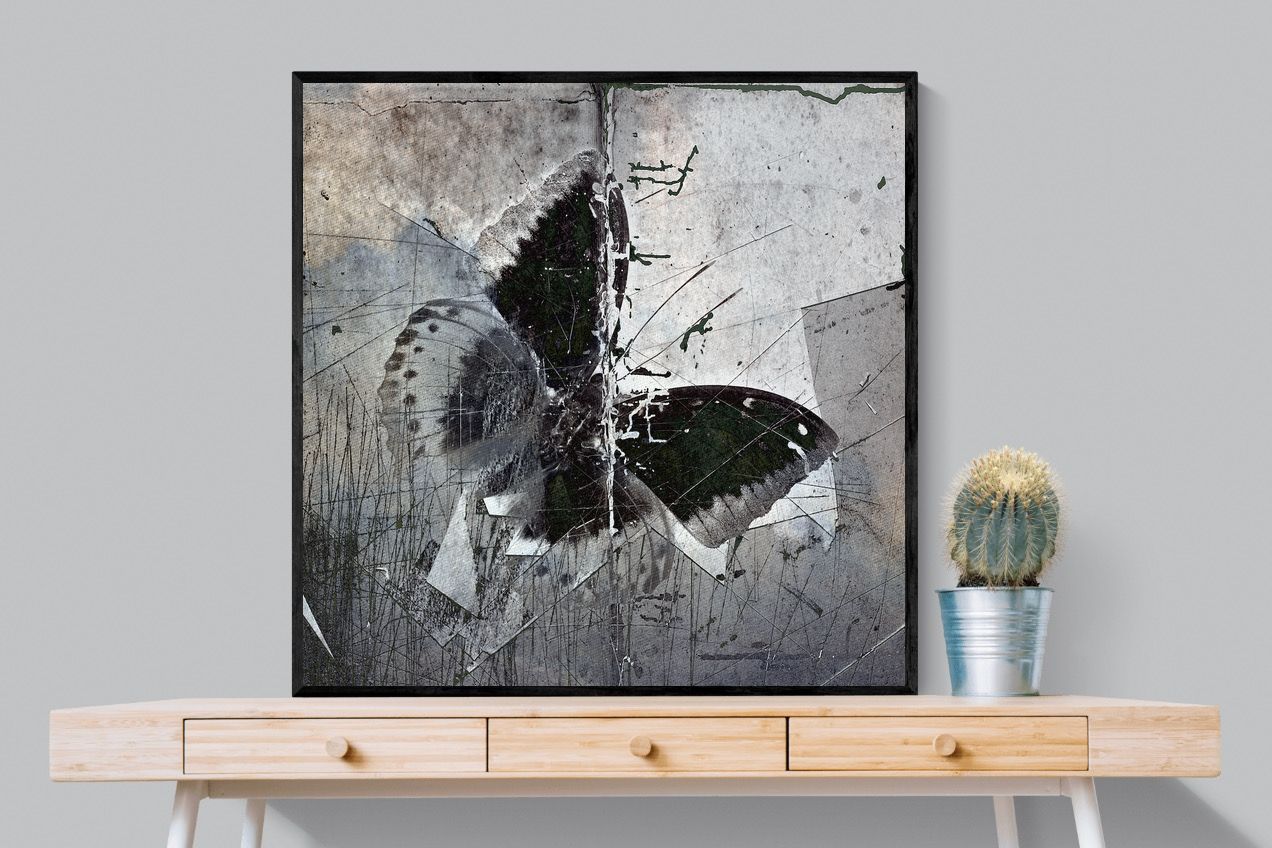Butterfly Art-Wall_Art-100 x 100cm-Mounted Canvas-Black-Pixalot