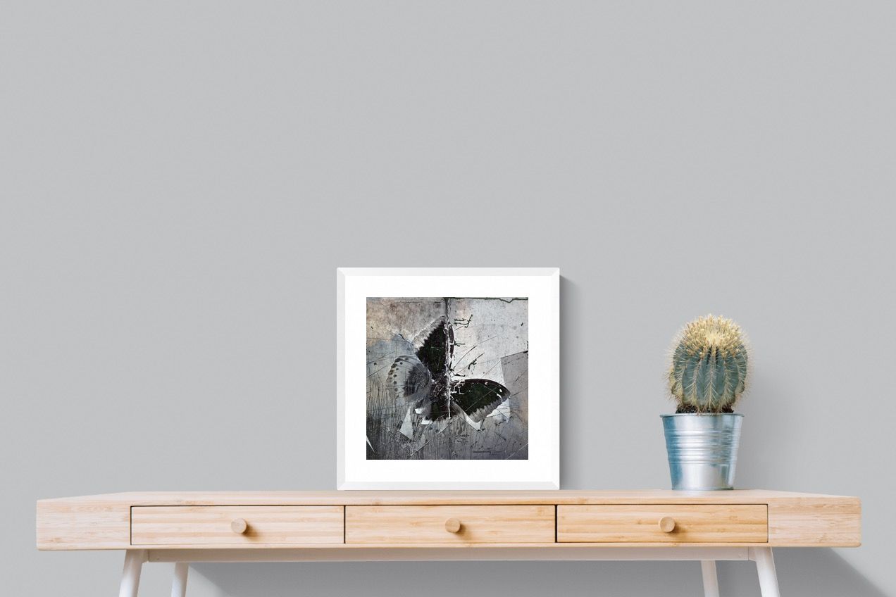 Butterfly Art-Wall_Art-50 x 50cm-Framed Print-White-Pixalot