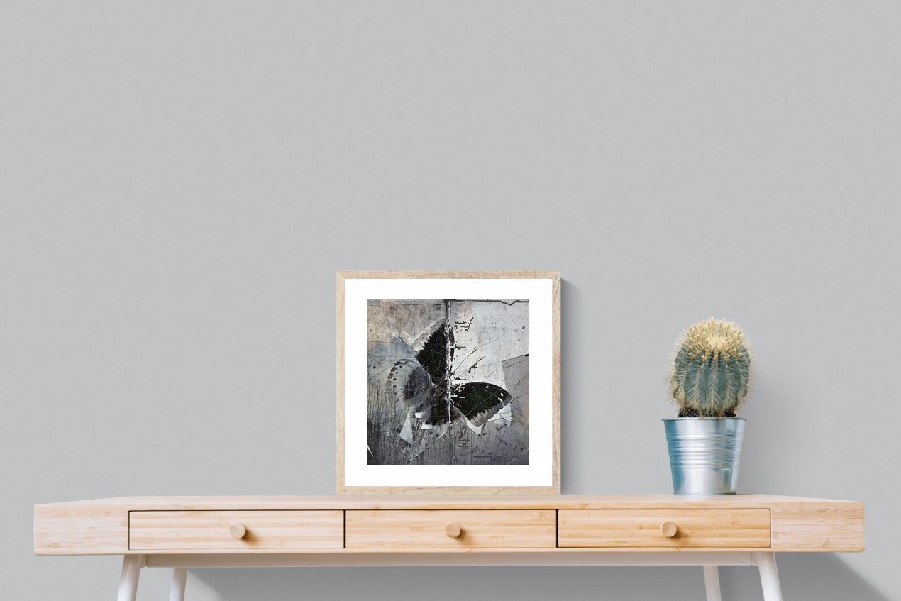 Butterfly Art-Wall_Art-50 x 50cm-Framed Print-Wood-Pixalot
