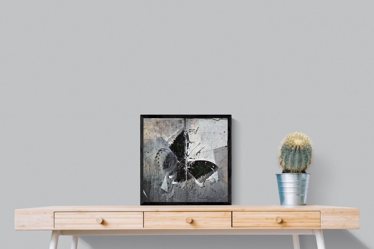 Butterfly Art-Wall_Art-50 x 50cm-Mounted Canvas-Black-Pixalot
