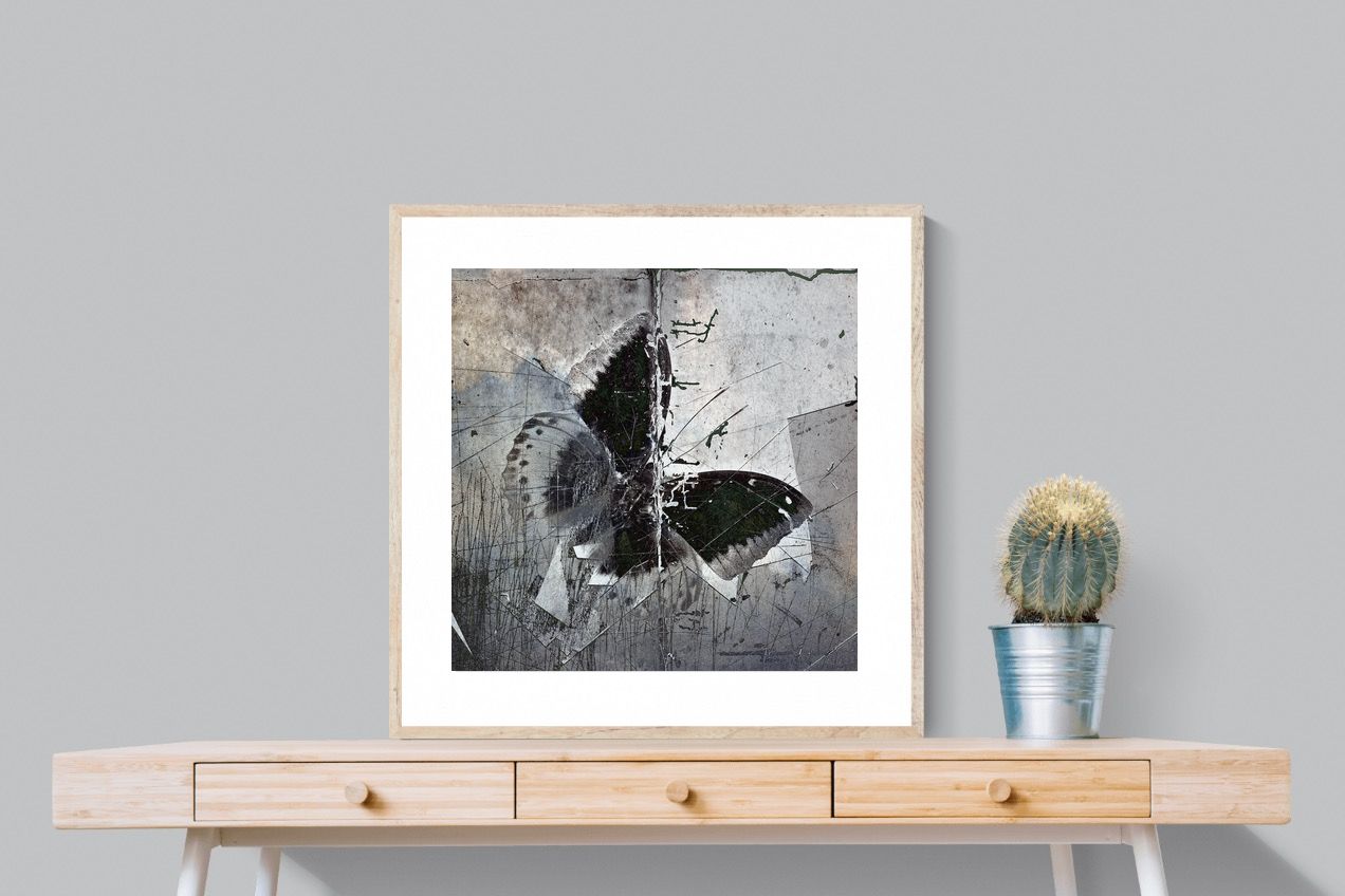Butterfly Art-Wall_Art-80 x 80cm-Framed Print-Wood-Pixalot