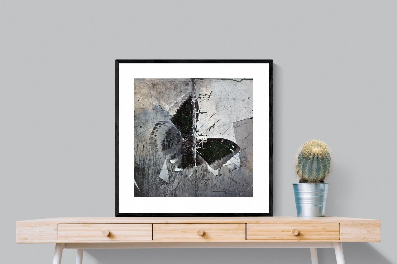 Butterfly Art-Wall_Art-80 x 80cm-Framed Print-Black-Pixalot