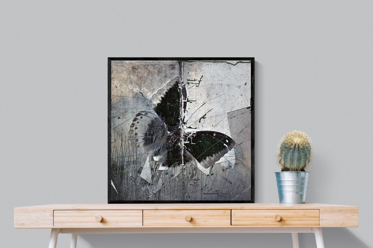 Butterfly Art-Wall_Art-80 x 80cm-Mounted Canvas-Black-Pixalot