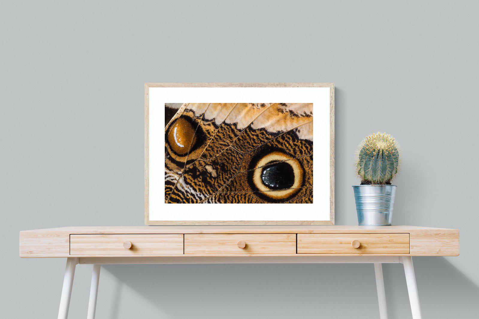 Butterly Wings-Wall_Art-80 x 60cm-Framed Print-Wood-Pixalot