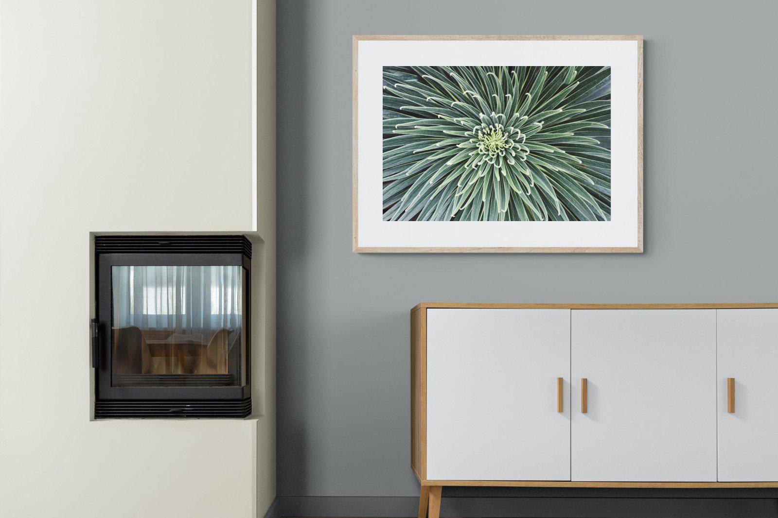 Cactus-Wall_Art-100 x 75cm-Framed Print-Wood-Pixalot